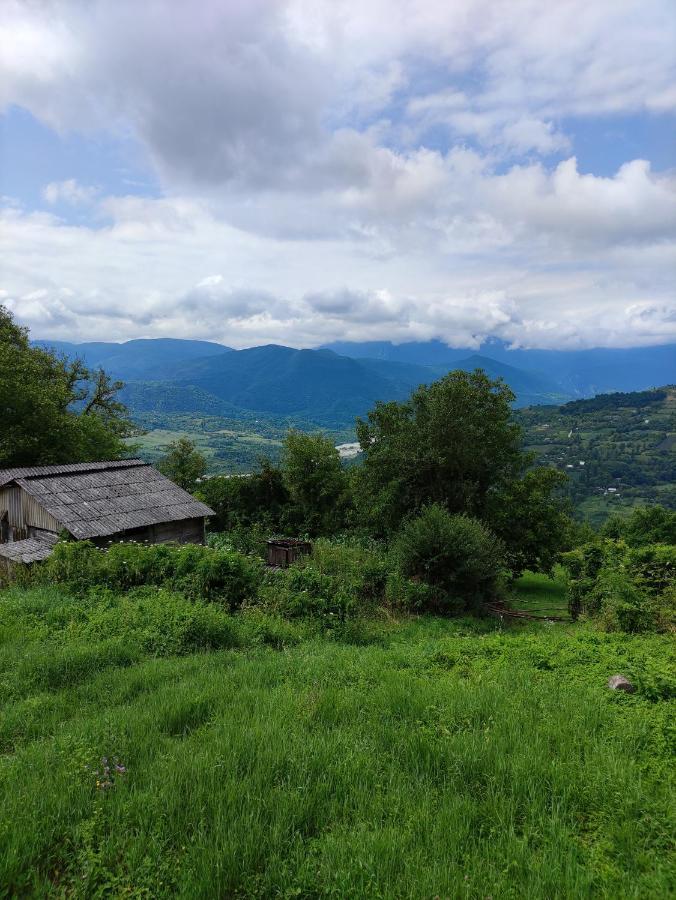 Racha Chogovadze'S Guest House Ambrolauri Exterior foto